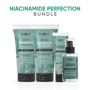 Niacinamide Perfection Bundle
